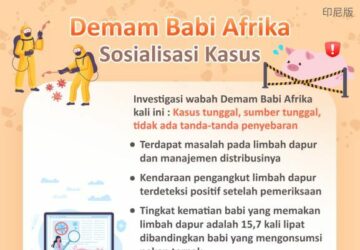 Demam Babi Afrika - Sosialisasi Kasus
