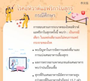 โรคอหิวาต์แอฟริกาในสุกร - กรณีศึกษา