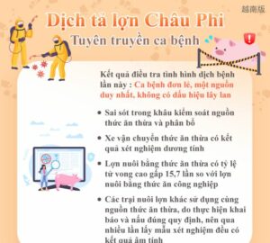 Dịch tả lợn Châu Phi - Tuyên truyền ca bệnh