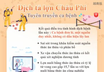 Dịch tả lợn Châu Phi - Tuyên truyền ca bệnh