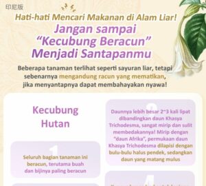 Hati-hati Mencari Makanan di Alam Liar!