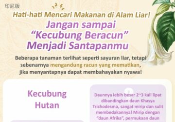 Hati-hati Mencari Makanan di Alam Liar!