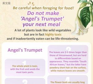 Be careful when foraging for food!