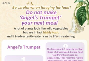 Be careful when foraging for food!