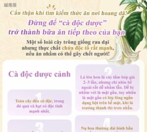 Cẩn thận khi tìm kiếm thức ăn nơi hoang dã!