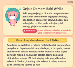Gejala Demam Babi Afrika