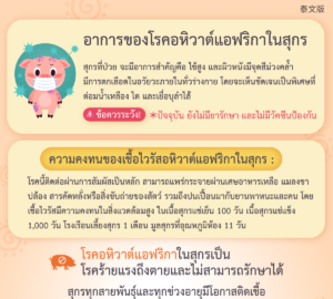 อาการของโรคอหิวาต์แอฟริกาในสุกร