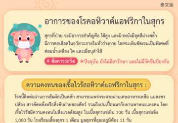 อาการของโรคอหิวาต์แอฟริกาในสุกร