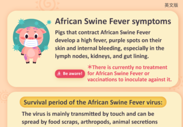 African Swine Fever symptoms