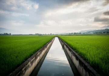 農業移工逾1.5萬名 臨近上限員額 同時降低失聯比例 盼讓引進常態化。 圖/Unsplash