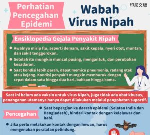 Perhatian Pencegahan Epidemi - Wabah Virus Nipah