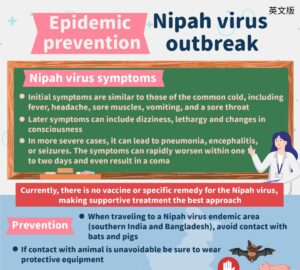 Epidemic prevention - Nipah virus outbreak