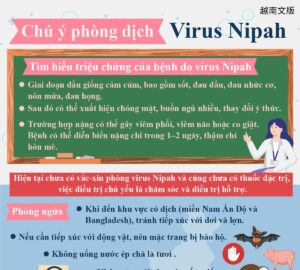 Chú ý phòng dịch - Virus Nipah