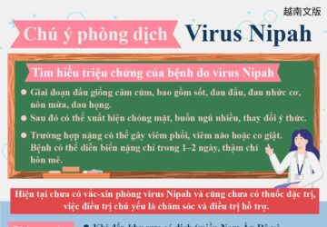 Chú ý phòng dịch - Virus Nipah