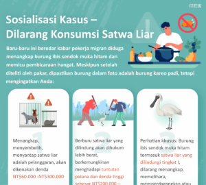 Sosialisasi Kasus – Dilarang Konsumsi Satwa Liar