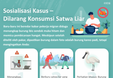 Sosialisasi Kasus – Dilarang Konsumsi Satwa Liar