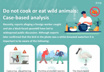 Do not cook or eat wild animals: Case-based analysis