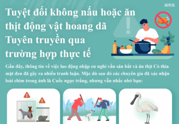 Tuyệt đối không nấu hoặc ănthịt động vật hoang dã Tuyên truyền qua trường hợp thực tế