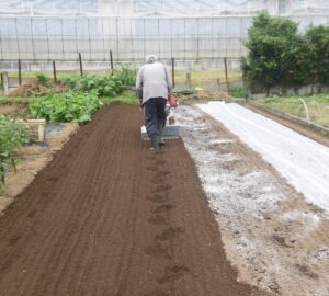 苗縣移工農務服務計畫 補助外展人力