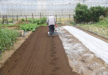 苗縣移工農務服務計畫 補助外展人力