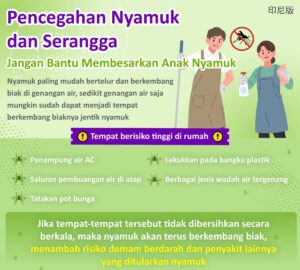 Pencegahan Nyamuk dan Serangga - Jangan Bantu Membesarkan Anak Nyamuk