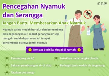Pencegahan Nyamuk dan Serangga - Jangan Bantu Membesarkan Anak Nyamuk