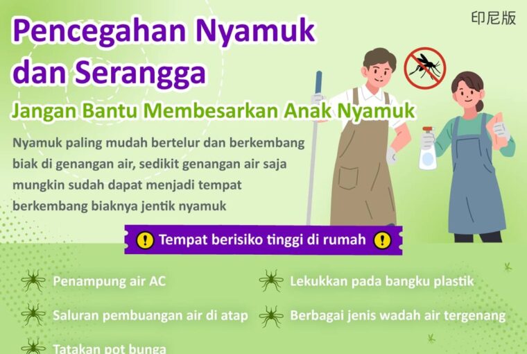 Pencegahan Nyamuk dan Serangga - Jangan Bantu Membesarkan Anak Nyamuk