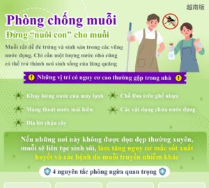 Phòng chống muỗi - Đừng “nuôi con” cho muỗi