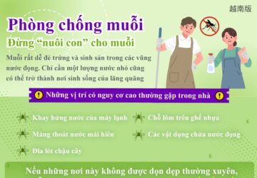 Phòng chống muỗi - Đừng “nuôi con” cho muỗi