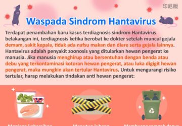 Waspada Sindrom Hantavirus