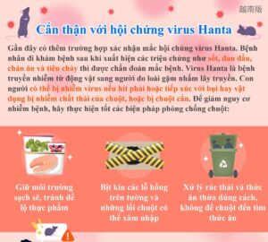 Cẩn thận với hội chứng virus Hanta