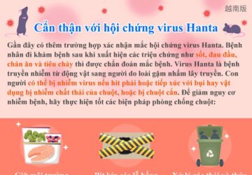 Cẩn thận với hội chứng virus Hanta