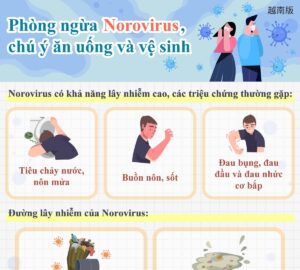 Phòng ngừa Norovirus, chú ý ăn uống và vệ sinh