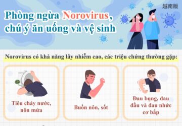 Phòng ngừa Norovirus, chú ý ăn uống và vệ sinh