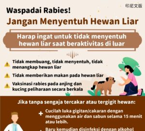 Waspadai Rabies! Jangan Menyentuh Hewan Liar