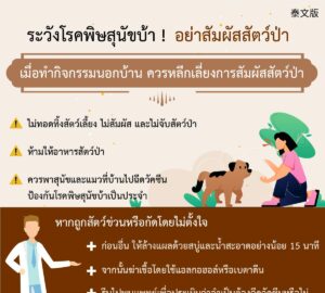 ระวังโรคพิษสุนัขบ้า ! อย่าสัมผัสสัตว์ป่า