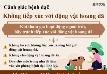 Cảnh giác bệnh dại! Không tiếp xúc với động vật hoang dã