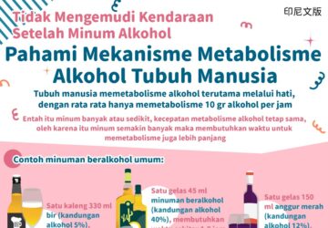 Tidak Mengemudi Kendaraan Setelah Minum Alkohol - Pahami Mekanisme Metabolisme Alkohol Tubuh Manusia