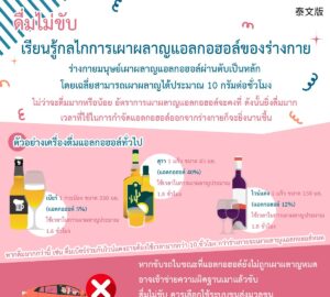 ดื่มไม่ขับ - เรียนรู้กลไกการเผาผลาญแอลกอฮอล์ของร่างกาย