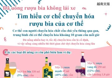 Đã uống rượu bia không lái xe - Tìm hiểu cơ chế chuyển hóa rượu bia của cơ thể