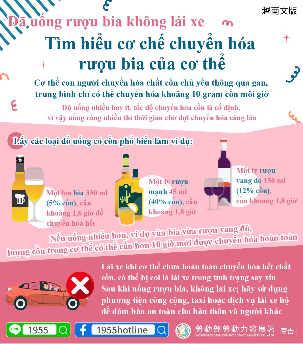 Đã uống rượu bia không lái xe - Tìm hiểu cơ chế chuyển hóa rượu bia của cơ thể