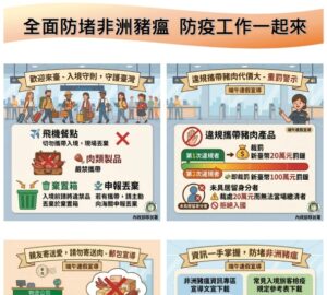 端午邊境加強查驗抽檢 防堵非洲豬瘟