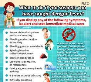 What to do if you suspect you have caught dengue fever?