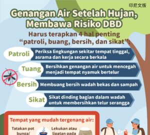 Genangan Air Setelah Hujan, Membawa Risiko DBD
