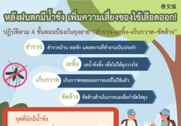 หลังฝนตกมีน้ำขัง เพิ่มความเสี่ยงของไข้เลือดออก!
