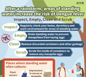 After a rainstorm, areas of standing water increase the risk of Dengue fever