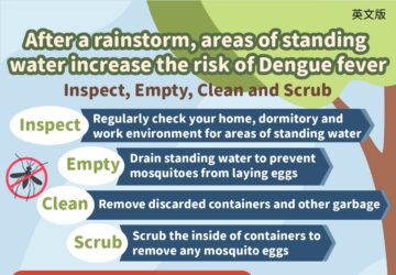 After a rainstorm, areas of standing water increase the risk of Dengue fever