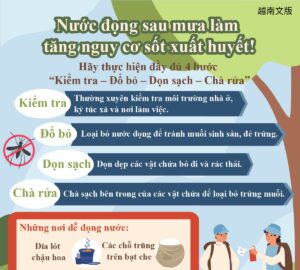 Nước đọng sau mưa làm tăng nguy cơ sốt xuất huyết!