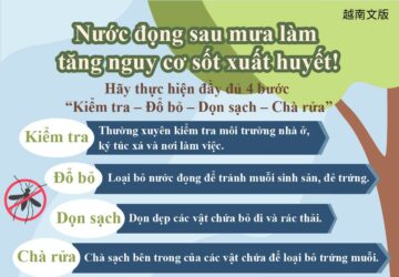Nước đọng sau mưa làm tăng nguy cơ sốt xuất huyết!