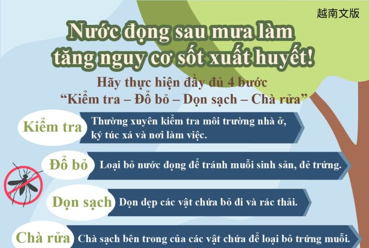 Nước đọng sau mưa làm tăng nguy cơ sốt xuất huyết!